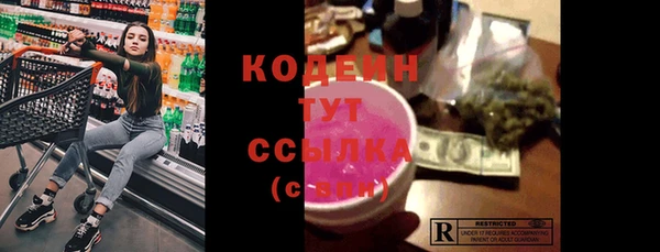 гашик Ладушкин