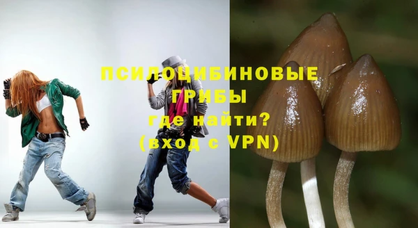 прущий лед Лагань