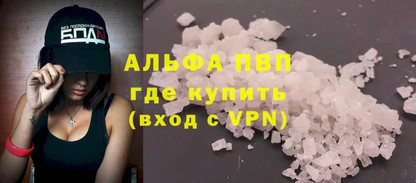 гашик Ладушкин