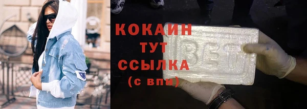 гашик Ладушкин
