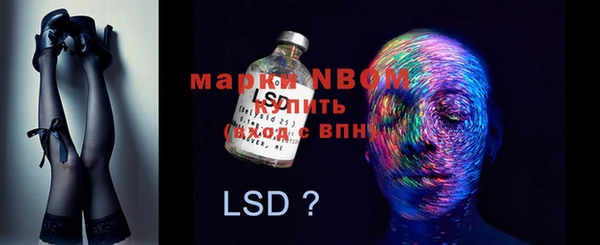 гашик Ладушкин