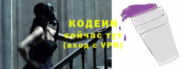 гашик Ладушкин