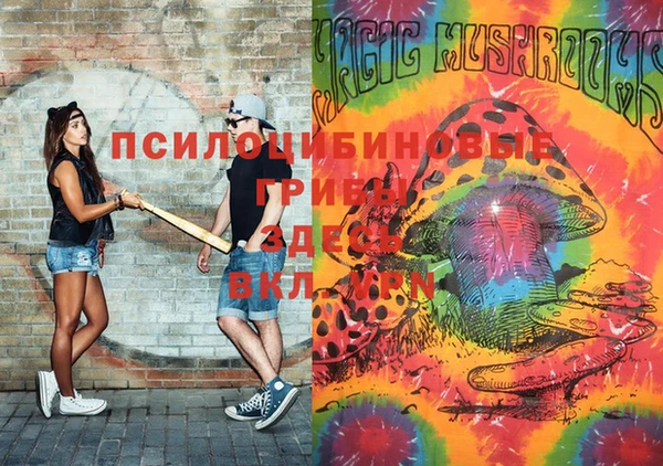 гашик Ладушкин