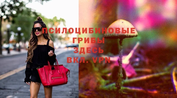 прущий лед Лагань
