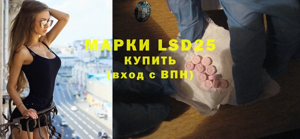 гашик Ладушкин