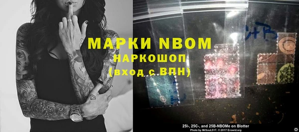 гашик Ладушкин