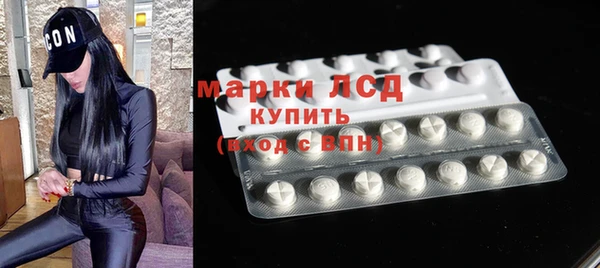 гашик Ладушкин