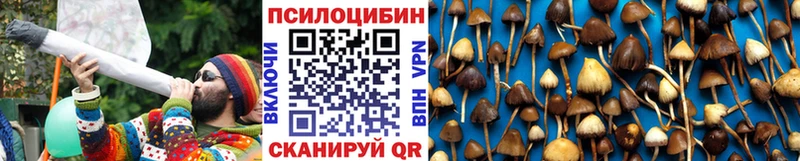 Купить закладки  Собинка  Псилоцибиновые грибы GOLDEN TEACHER 